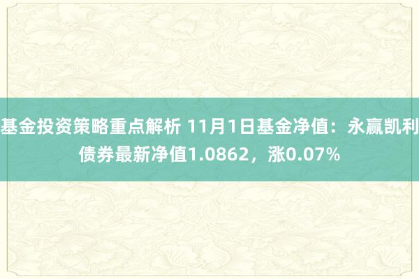 基金投资策略重点解析 11月1日基金净值：永赢凯利债券最新净值1.0862，涨0.07%