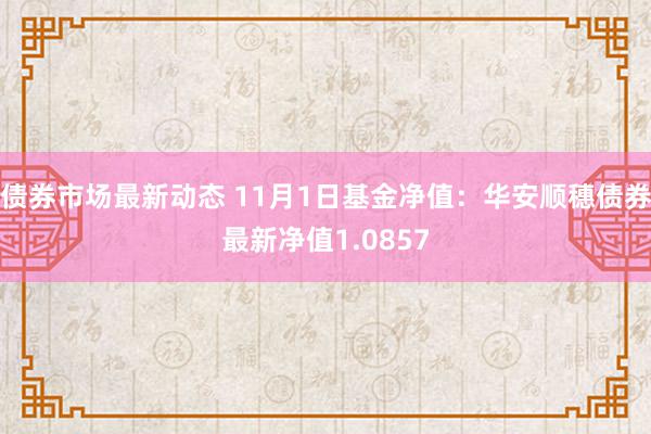 债券市场最新动态 11月1日基金净值：华安顺穗债券最新净值1.0857