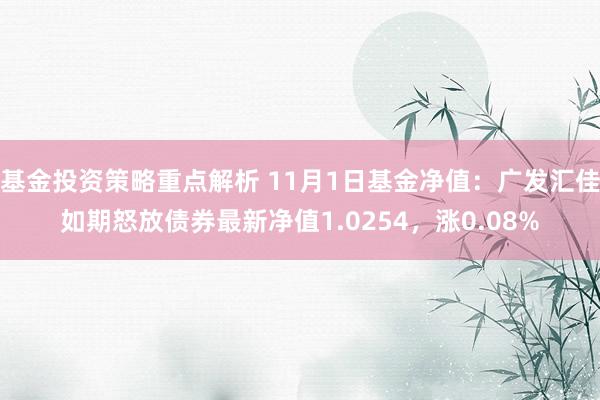 基金投资策略重点解析 11月1日基金净值：广发汇佳如期怒放债券最新净值1.0254，涨0.08%