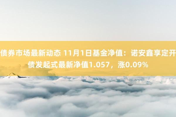 债券市场最新动态 11月1日基金净值：诺安鑫享定开债发起式最新净值1.057，涨0.09%