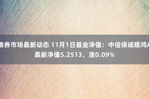 债券市场最新动态 11月1日基金净值：中信保诚稳鸿A最新净值5.2513，涨0.09%