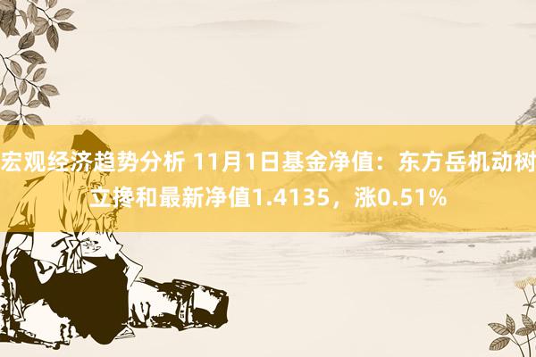 宏观经济趋势分析 11月1日基金净值：东方岳机动树立搀和最新净值1.4135，涨0.51%