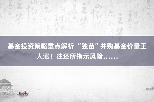 基金投资策略重点解析 “独苗”并购基金价量王人涨！往还所指示风险……