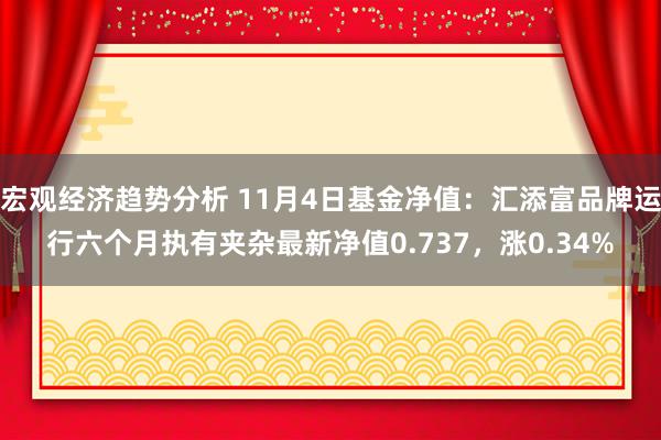 宏观经济趋势分析 11月4日基金净值：汇添富品牌运行六个月执有夹杂最新净值0.737，涨0.34%