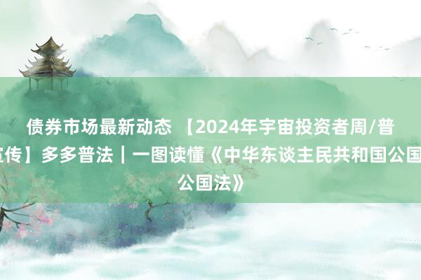 债券市场最新动态 【2024年宇宙投资者周/普法宣传】多多普法｜一图读懂《中华东谈主民共和国公国法》