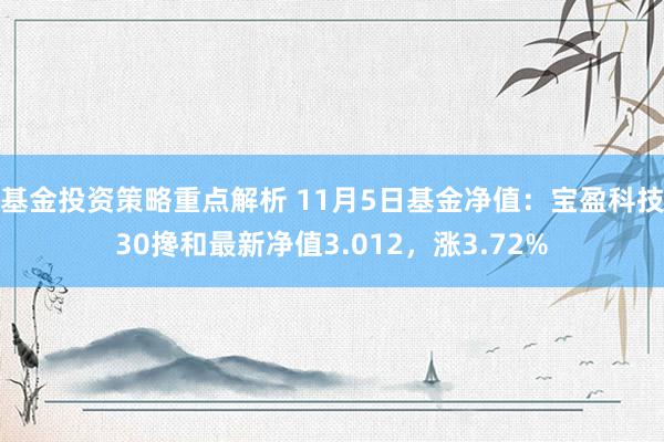 基金投资策略重点解析 11月5日基金净值：宝盈科技30搀和最新净值3.012，涨3.72%