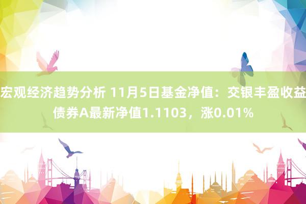 宏观经济趋势分析 11月5日基金净值：交银丰盈收益债券A最新净值1.1103，涨0.01%