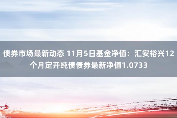 债券市场最新动态 11月5日基金净值：汇安裕兴12个月定开纯债债券最新净值1.0733