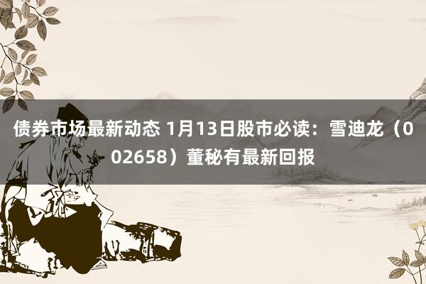 债券市场最新动态 1月13日股市必读：雪迪龙（002658）董秘有最新回报