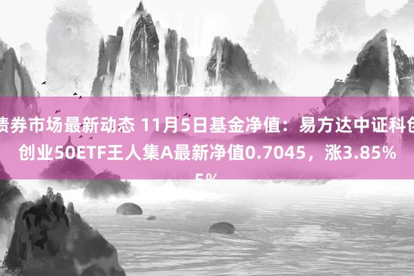 债券市场最新动态 11月5日基金净值：易方达中证科创创业50ETF王人集A最新净值0.7045，涨3.85%