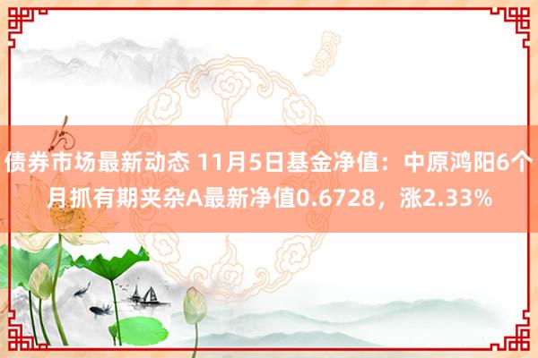 债券市场最新动态 11月5日基金净值：中原鸿阳6个月抓有期夹杂A最新净值0.6728，涨2.33%