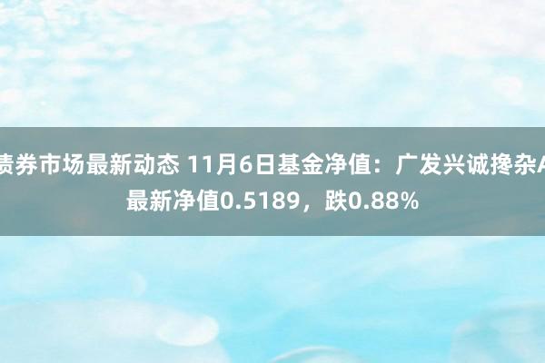 债券市场最新动态 11月6日基金净值：广发兴诚搀杂A最新净值0.5189，跌0.88%