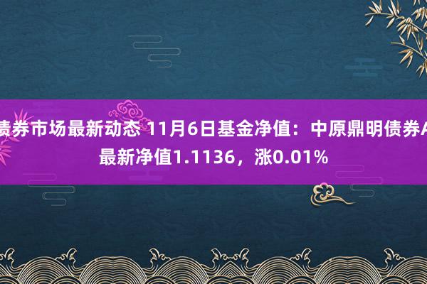 债券市场最新动态 11月6日基金净值：中原鼎明债券A最新净值1.1136，涨0.01%