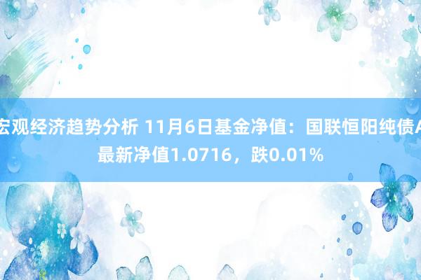 宏观经济趋势分析 11月6日基金净值：国联恒阳纯债A最新净值1.0716，跌0.01%