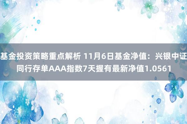 基金投资策略重点解析 11月6日基金净值：兴银中证同行存单AAA指数7天握有最新净值1.0561