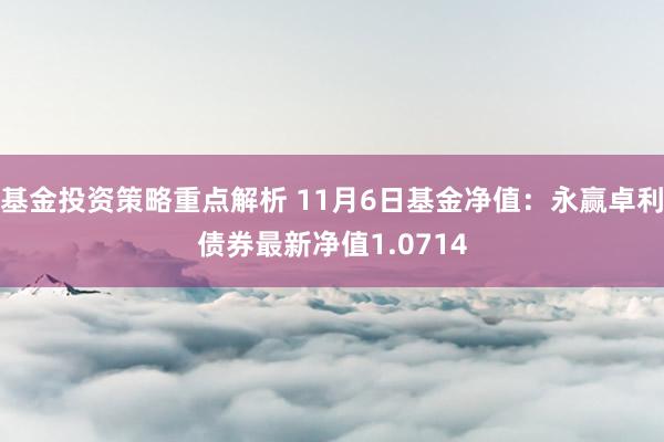 基金投资策略重点解析 11月6日基金净值：永赢卓利债券最新净值1.0714