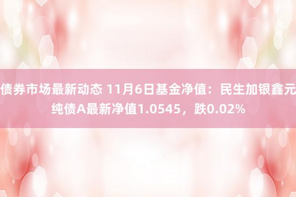 债券市场最新动态 11月6日基金净值：民生加银鑫元纯债A最新净值1.0545，跌0.02%