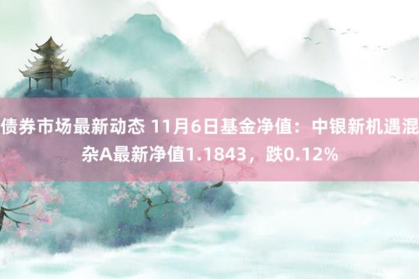 债券市场最新动态 11月6日基金净值：中银新机遇混杂A最新净值1.1843，跌0.12%