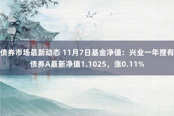 债券市场最新动态 11月7日基金净值：兴业一年捏有债券A最新净值1.1025，涨0.11%