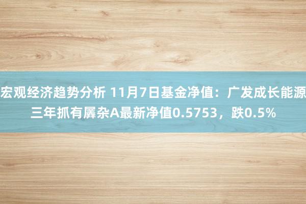 宏观经济趋势分析 11月7日基金净值：广发成长能源三年抓有羼杂A最新净值0.5753，跌0.5%