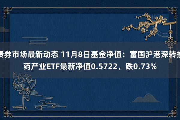 债券市场最新动态 11月8日基金净值：富国沪港深转换药产业ETF最新净值0.5722，跌0.73%