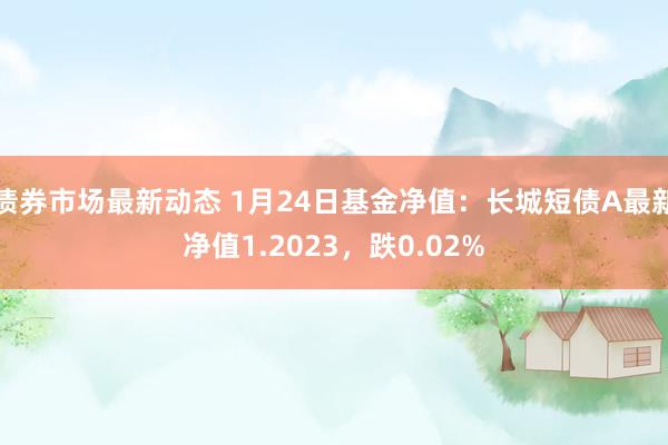 债券市场最新动态 1月24日基金净值：长城短债A最新净值1.2023，跌0.02%