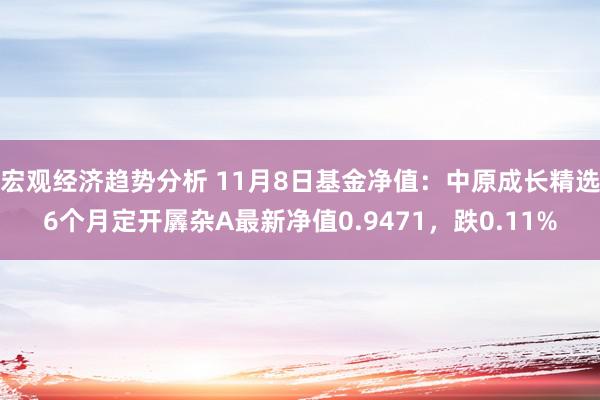 宏观经济趋势分析 11月8日基金净值：中原成长精选6个月定开羼杂A最新净值0.9471，跌0.11%