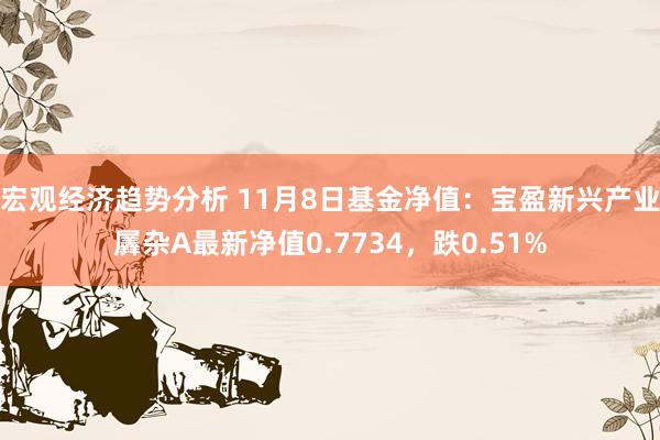 宏观经济趋势分析 11月8日基金净值：宝盈新兴产业羼杂A最新净值0.7734，跌0.51%