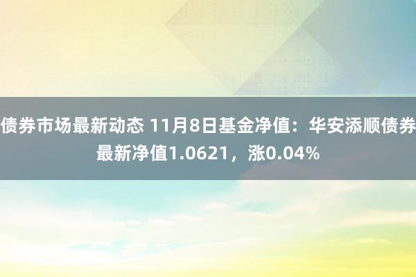 债券市场最新动态 11月8日基金净值：华安添顺债券最新净值1.0621，涨0.04%