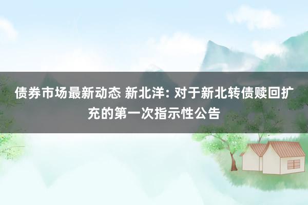 债券市场最新动态 新北洋: 对于新北转债赎回扩充的第一次指示性公告