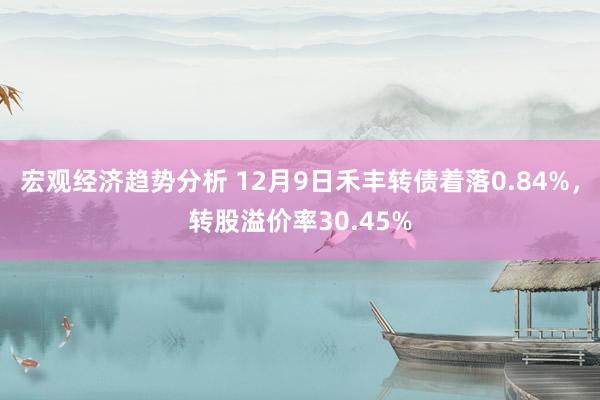 宏观经济趋势分析 12月9日禾丰转债着落0.84%，转股溢价率30.45%