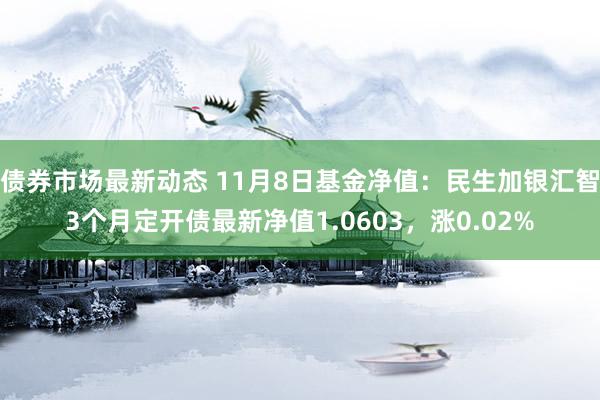 债券市场最新动态 11月8日基金净值：民生加银汇智3个月定开债最新净值1.0603，涨0.02%