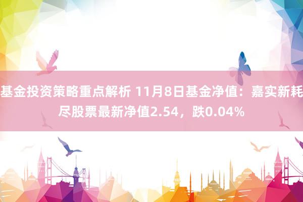 基金投资策略重点解析 11月8日基金净值：嘉实新耗尽股票最新净值2.54，跌0.04%