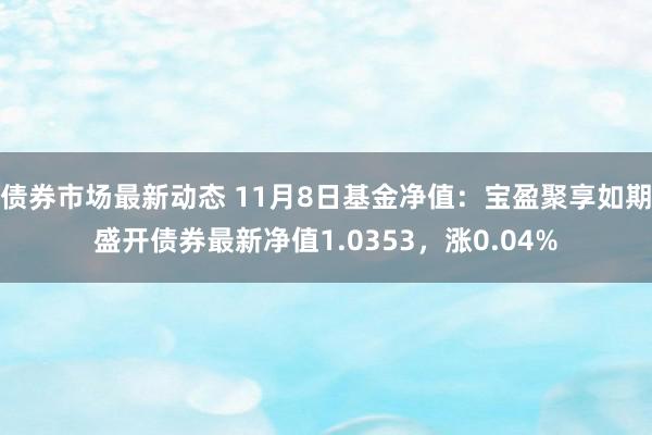 债券市场最新动态 11月8日基金净值：宝盈聚享如期盛开债券最新净值1.0353，涨0.04%