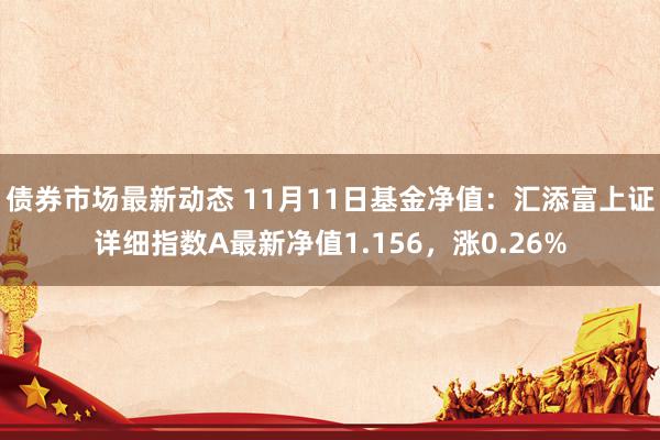 债券市场最新动态 11月11日基金净值：汇添富上证详细指数A最新净值1.156，涨0.26%