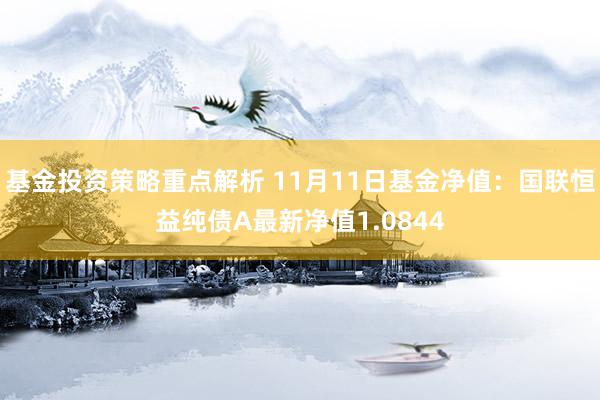 基金投资策略重点解析 11月11日基金净值：国联恒益纯债A最新净值1.0844