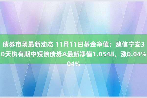 债券市场最新动态 11月11日基金净值：建信宁安30天执有期中短债债券A最新净值1.0548，涨0.04%