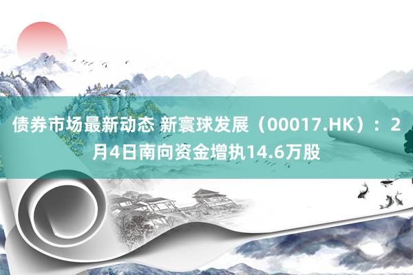 债券市场最新动态 新寰球发展（00017.HK）：2月4日南向资金增执14.6万股