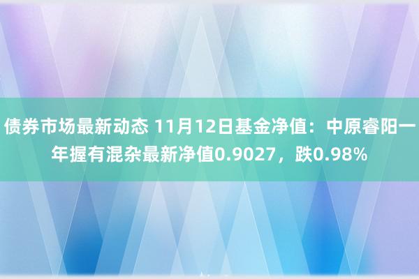 债券市场最新动态 11月12日基金净值：中原睿阳一年握有混杂最新净值0.9027，跌0.98%