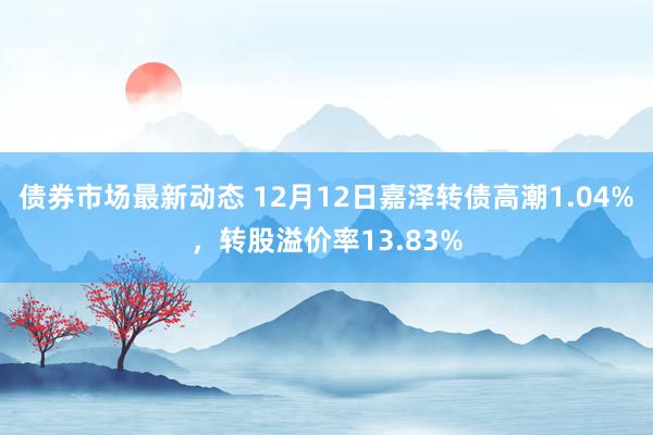 债券市场最新动态 12月12日嘉泽转债高潮1.04%，转股溢价率13.83%