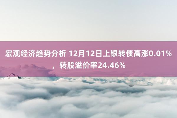 宏观经济趋势分析 12月12日上银转债高涨0.01%，转股溢价率24.46%