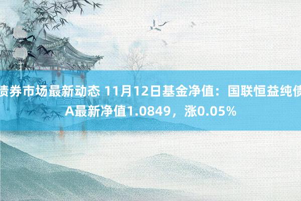 债券市场最新动态 11月12日基金净值：国联恒益纯债A最新净值1.0849，涨0.05%