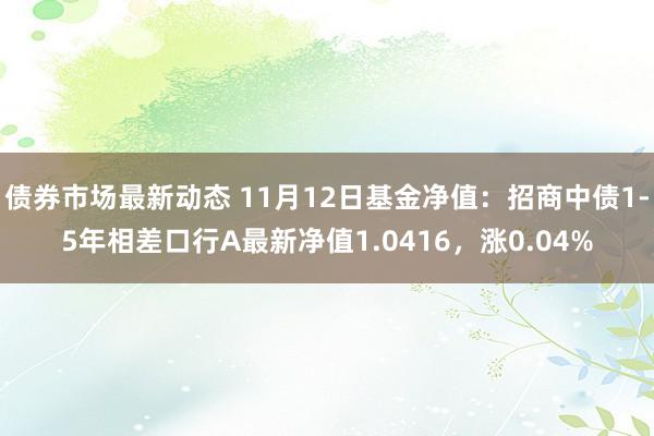 债券市场最新动态 11月12日基金净值：招商中债1-5年相差口行A最新净值1.0416，涨0.04%