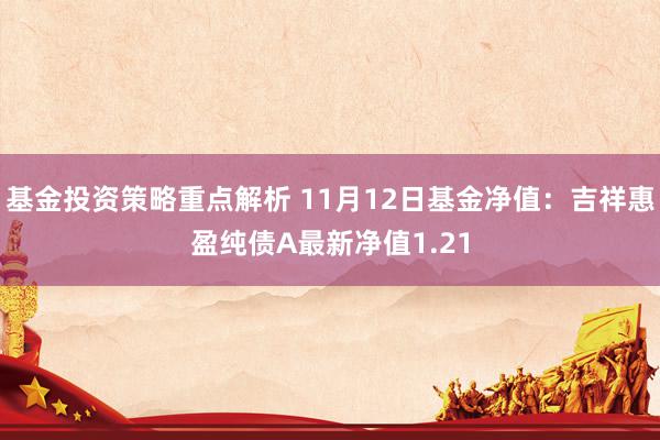 基金投资策略重点解析 11月12日基金净值：吉祥惠盈纯债A最新净值1.21