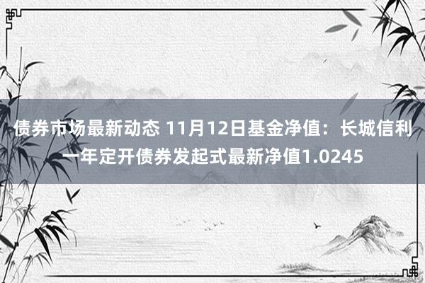 债券市场最新动态 11月12日基金净值：长城信利一年定开债券发起式最新净值1.0245