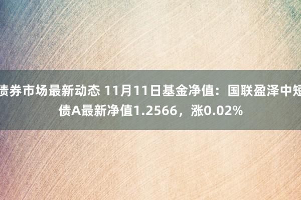 债券市场最新动态 11月11日基金净值：国联盈泽中短债A最新净值1.2566，涨0.02%