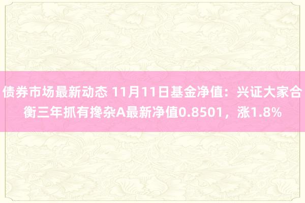 债券市场最新动态 11月11日基金净值：兴证大家合衡三年抓有搀杂A最新净值0.8501，涨1.8%