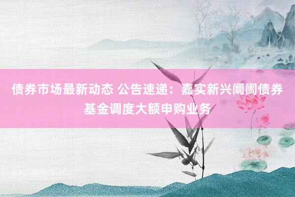 债券市场最新动态 公告速递：嘉实新兴阛阓债券基金调度大额申购业务