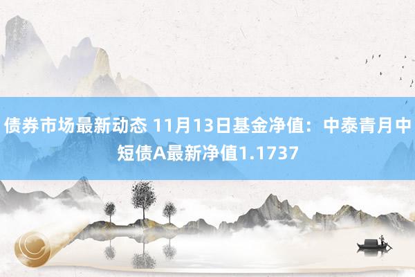 债券市场最新动态 11月13日基金净值：中泰青月中短债A最新净值1.1737