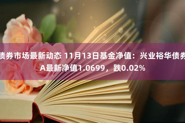 债券市场最新动态 11月13日基金净值：兴业裕华债券A最新净值1.0699，跌0.02%